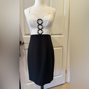 Evening/ Party Dress